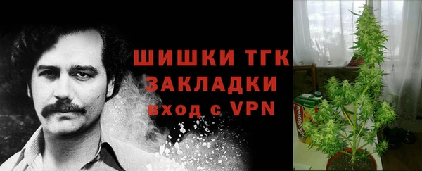 дмт Аркадак