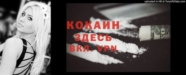 дмт Аркадак