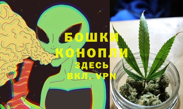 соль ск Арсеньев