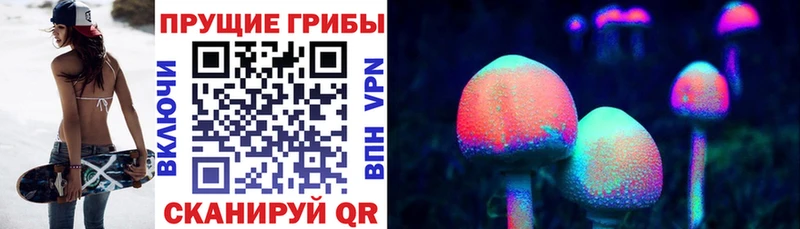 где купить   blacksprut   Галлюциногенные грибы прущие грибы  Дыгулыбгей 